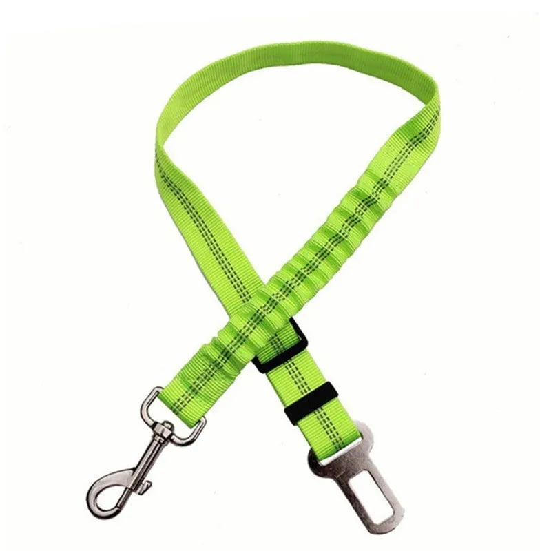 PawSecure Belt