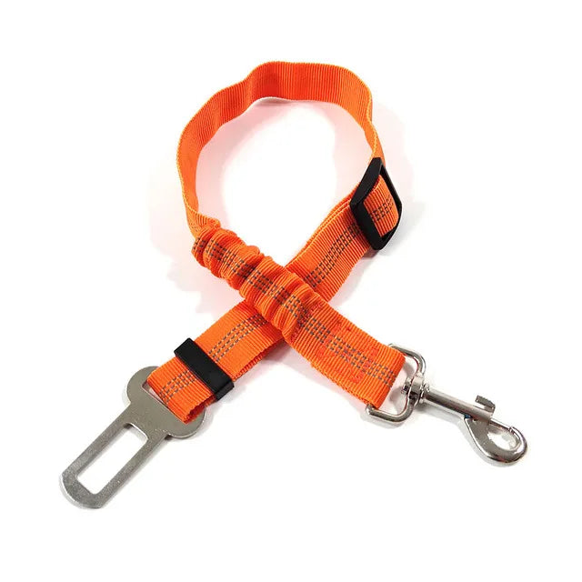 PawSecure Belt