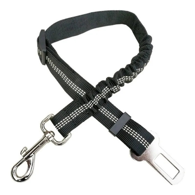 PawSecure Belt