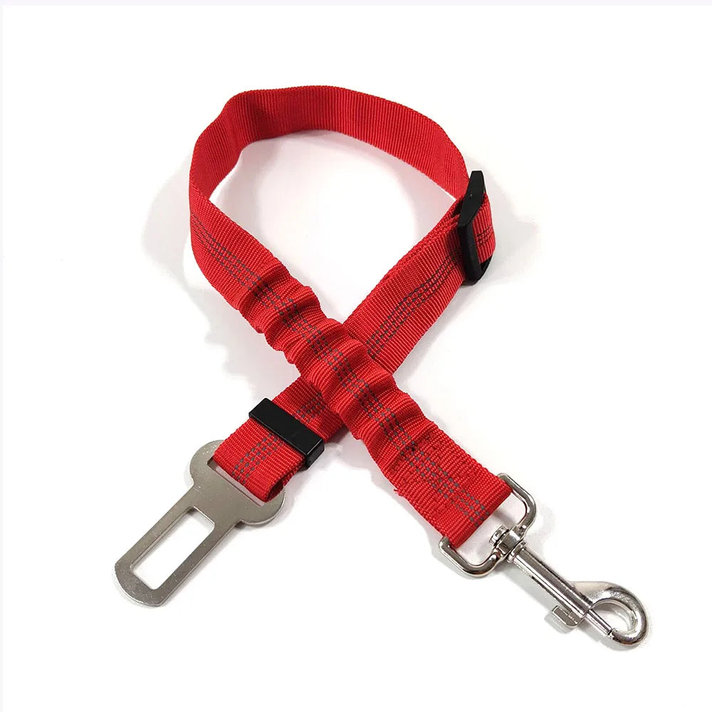 PawSecure Belt