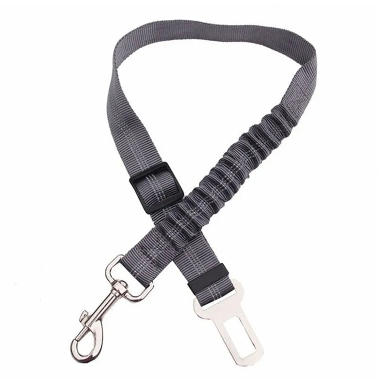PawSecure Belt