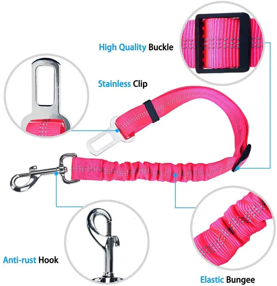 PawSecure Belt